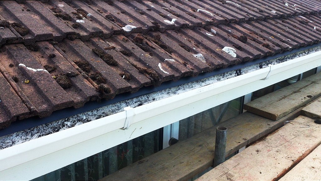 Roof Eave Repair DS765 Dobson & Son Ltd.